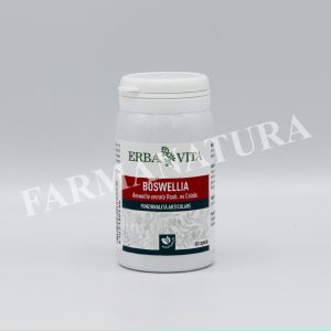 erboristeria, fitoterapia, alimentari, cosmetica e oggettistica.